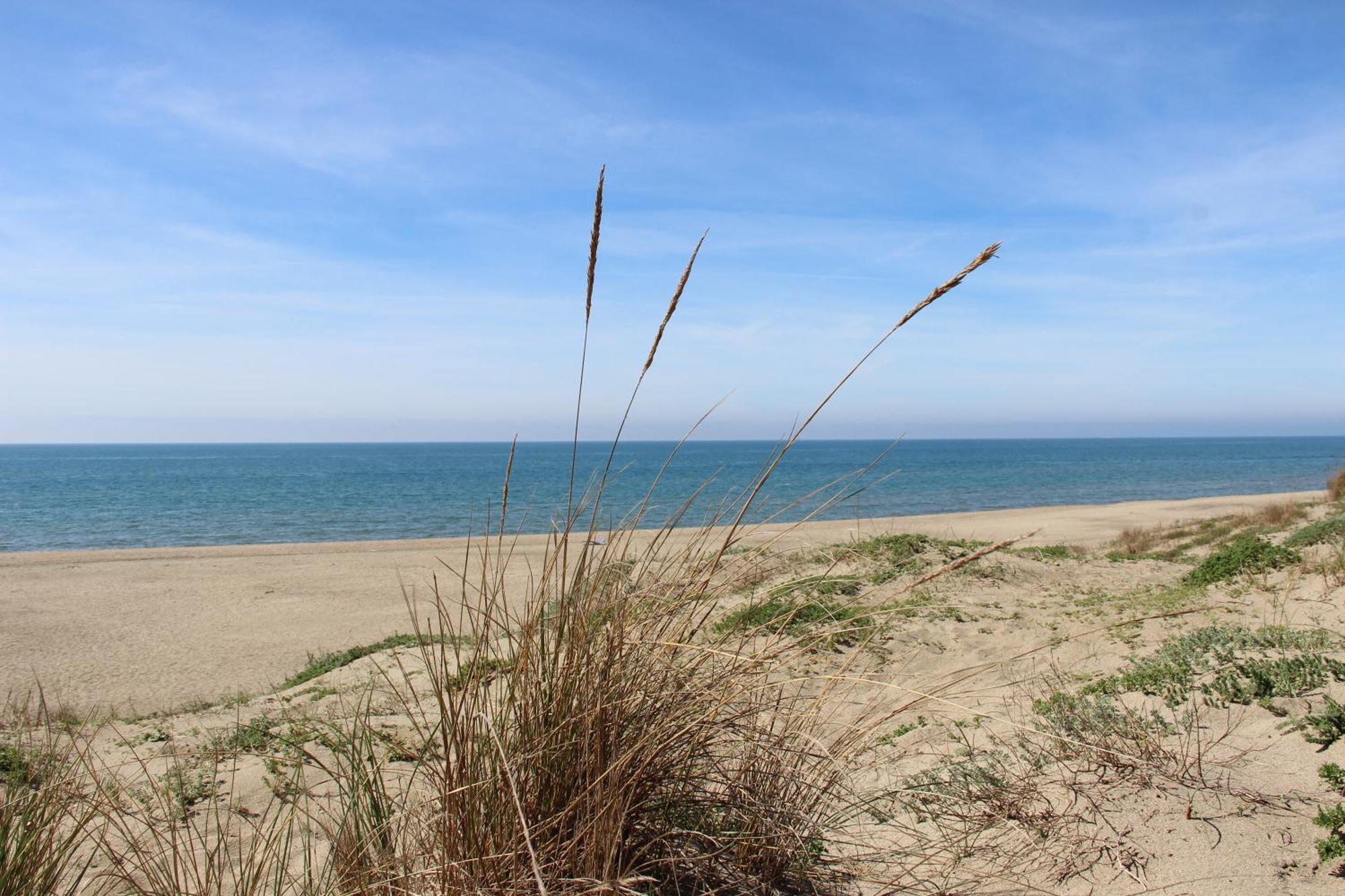 Appartamento Via Dei Fabbri Navali Lido di Ostia Ngoại thất bức ảnh